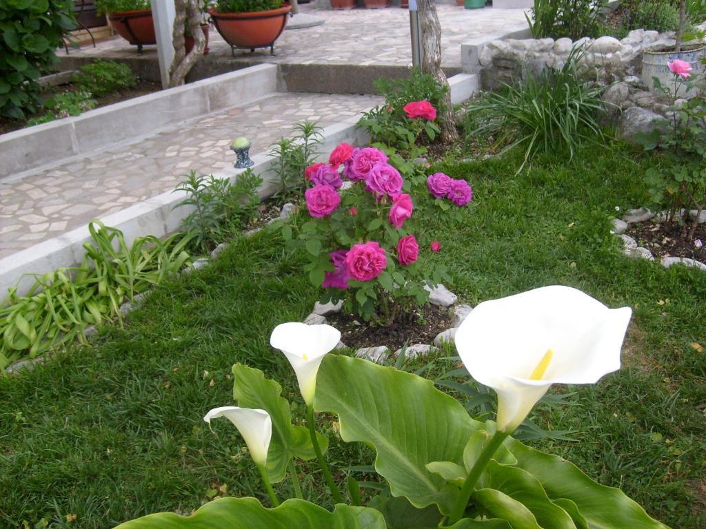 Apartments Bovan Herceg Novi Exterior foto
